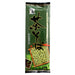 Tea buckwheat noodles 200g