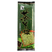 Tea buckwheat noodles 200g