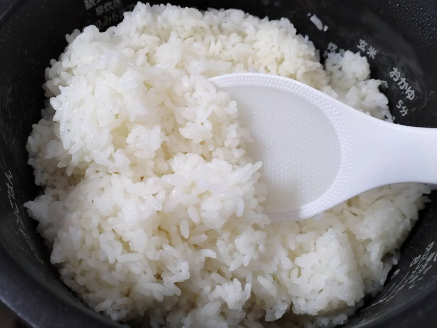 Japanese rice types and recipe