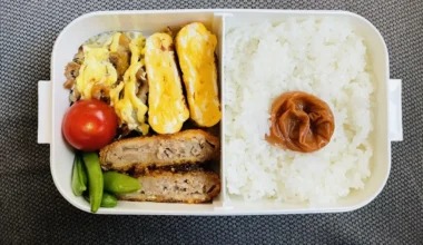 wunderschönes Bento