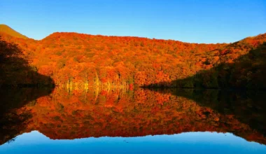 Bekijk herfstbladeren in Japan