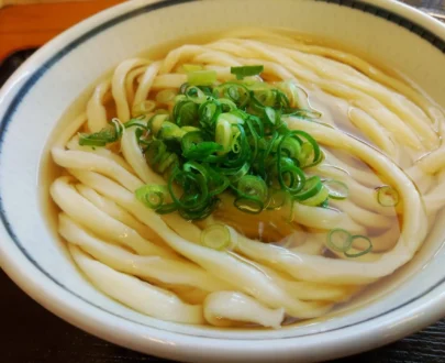 Udon noodles