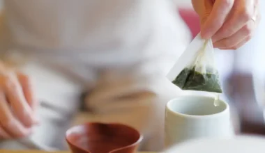 Japanese Green Tea Bags A Convenient Way to Enjoy Authentic Japanese Tea