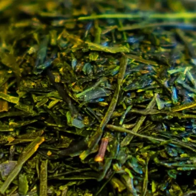Hojas de té verde