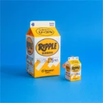 Bevande confezionate giapponesi in miniatura - Collezione Mini Case