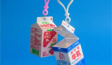 Miniatur japanische verpackte Getränke - Mini -Fallsammlung