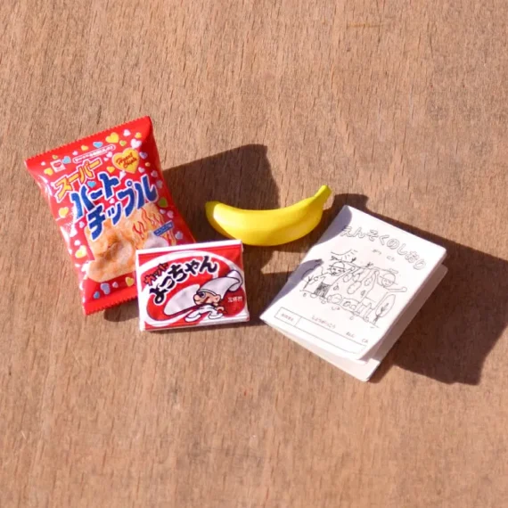 Showa懷舊系列：學校遊覽的回憶5