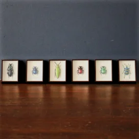 Ensemble d&#39;aimants scarabées sacrés