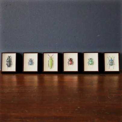 Sacred Jewel Beetle Magnet Set