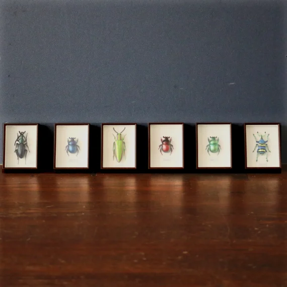 Sacred Jewel Beetle Magnet Set