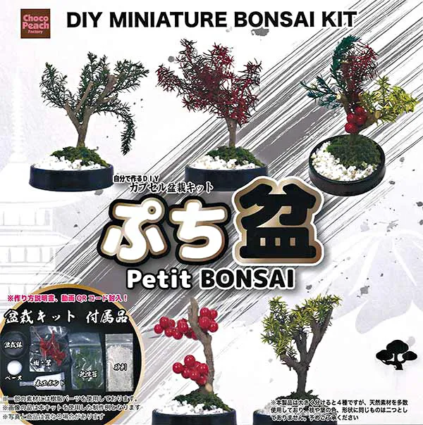 Capsule DIY Series Mini Bonsai – Fun Collectible Craft 3 Capsule DIY Series Mini Bonsai – Fun Collectible Craft