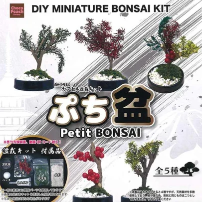 Capsule_DIY_Series_Mini_Bonsai_Divertimento_Collezionabile_Artigianato