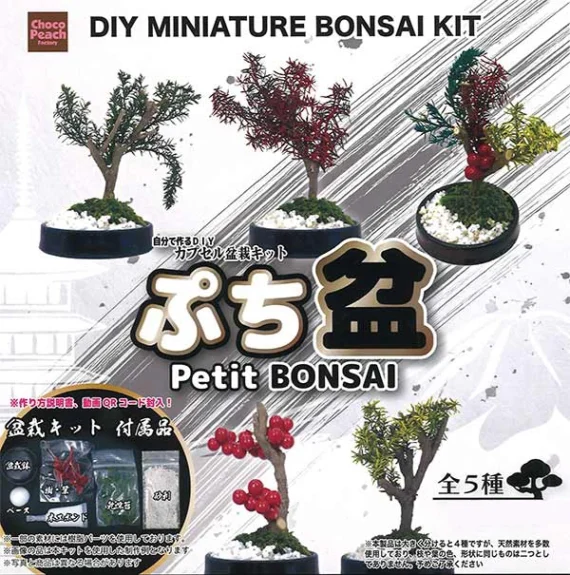Capsule_DIY_Series_Mini_Bonsai_Divertimento_Collezionabile_Artigianato