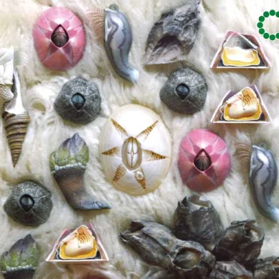 NTC_MONO+_Barnacle_Magnet_&_Mascot_Unique_Japanese_Collectible