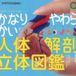 Soft Anatomy Series – Ultra Squishy Human Body Figure