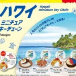 Collection de mini-porte-clés Globe-Trotter's Guide Hawaii