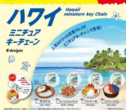 Collection de mini-porte-clés Globe-Trotter's Guide Hawaii