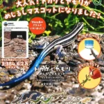 MONO+ Maskottchenfigur Eidechse &amp; Gecko – Taschenanhänger zum Sammeln