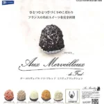 Au Merveilleux de Fred French Sweets Miniature – Japan Blind Box